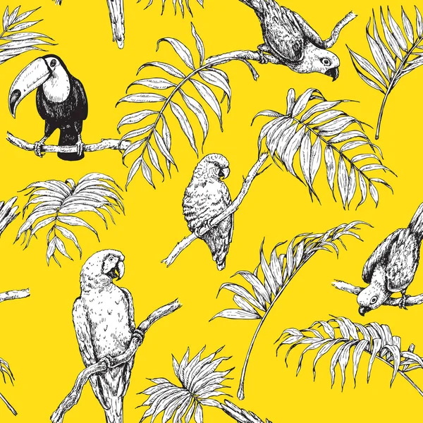 Papageien und Tukan skizzieren Muster — Stockvektor