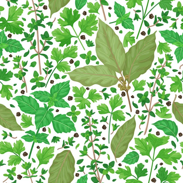 Seamless Pattern with Herbs — Stock Vector