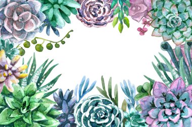 Succulents suluboya çerçeve
