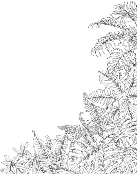 Tropické rostliny rohu pozadí — Stockový vektor