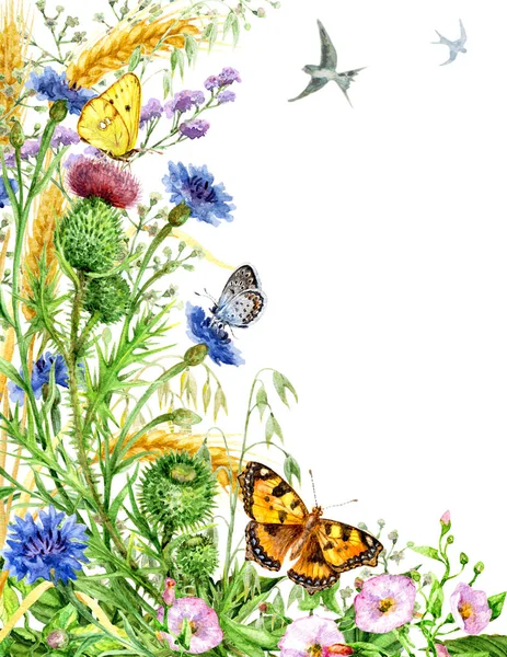 Kelebekler ile suluboya çerçeve çiçek — Stok fotoğraf