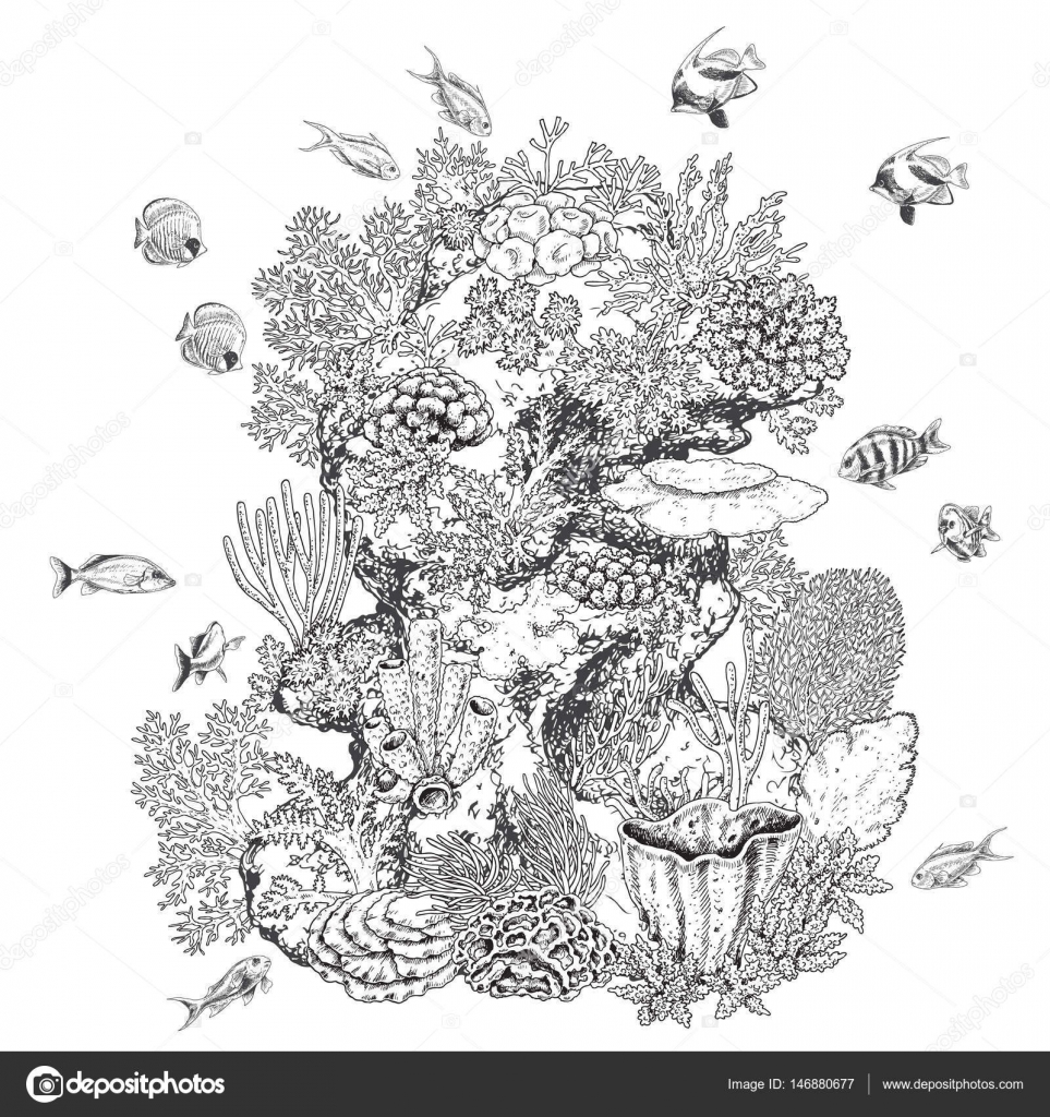 Elementi naturali sottomarini disegnati a mano Schizzo di coralli di barriera corallina e pesci di nuoto Colonia di corallo bianco e nero sulla roccia