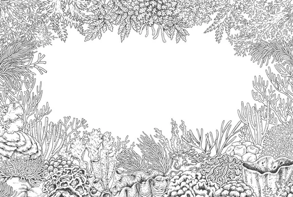 Fondo submarino con corales — Archivo Imágenes Vectoriales