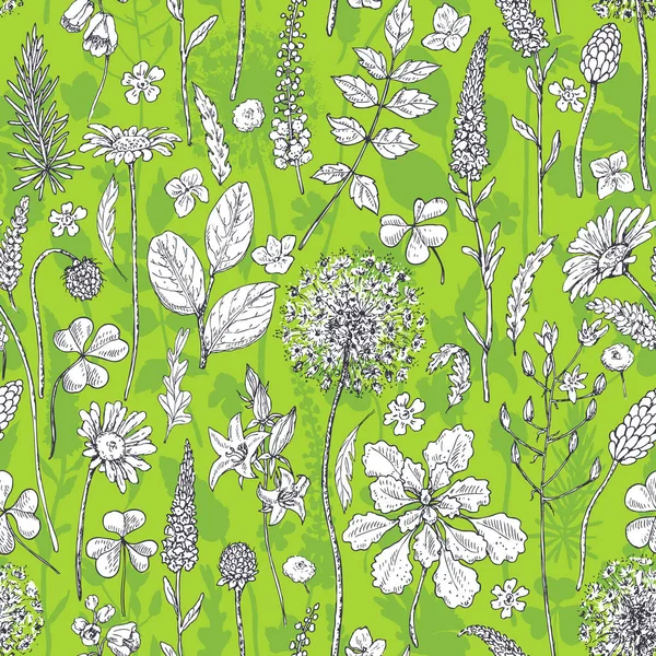 Nahtloses Muster mit Wildblumen auf Grün — Stockvektor