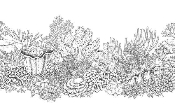 Coral Reef linii poziomej strukturze — Wektor stockowy