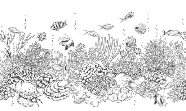 Patrón de Arrecife de Coral y Peces — Vector de stock