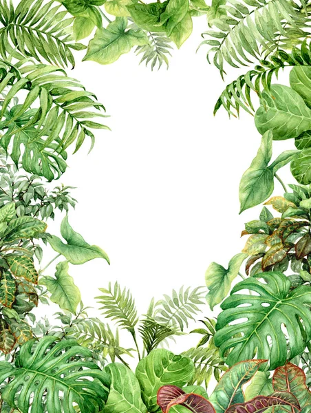 Fundo verde aquarela com plantas tropicais — Fotografia de Stock