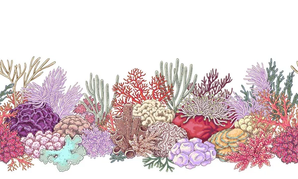 Coral Reef linje horisontellt mönster — Stock vektor