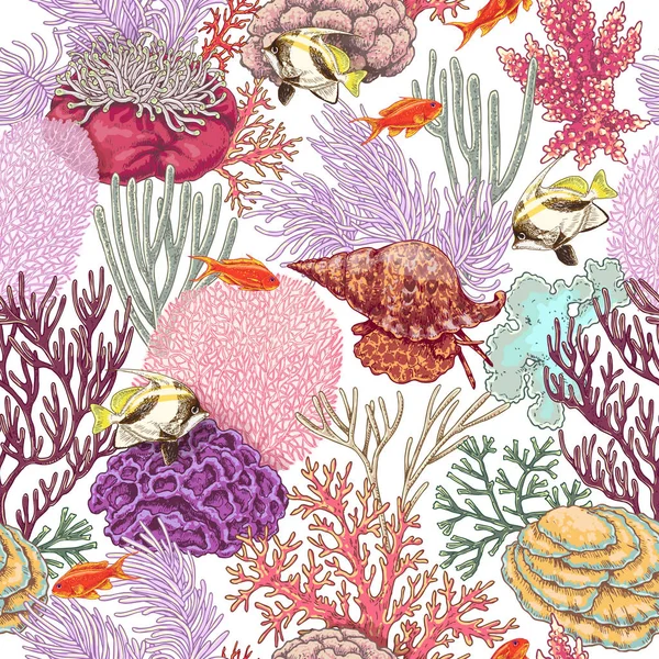珊瑚礁和鱼类模式 — 图库矢量图片