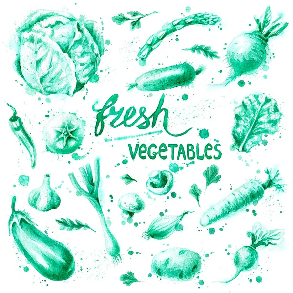 Conjunto de legumes frescos — Fotografia de Stock
