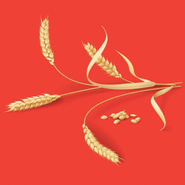 Kırmızı buğday kulaklara