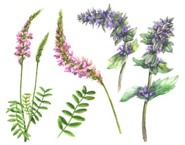 Yaz alan çiçek ayarla