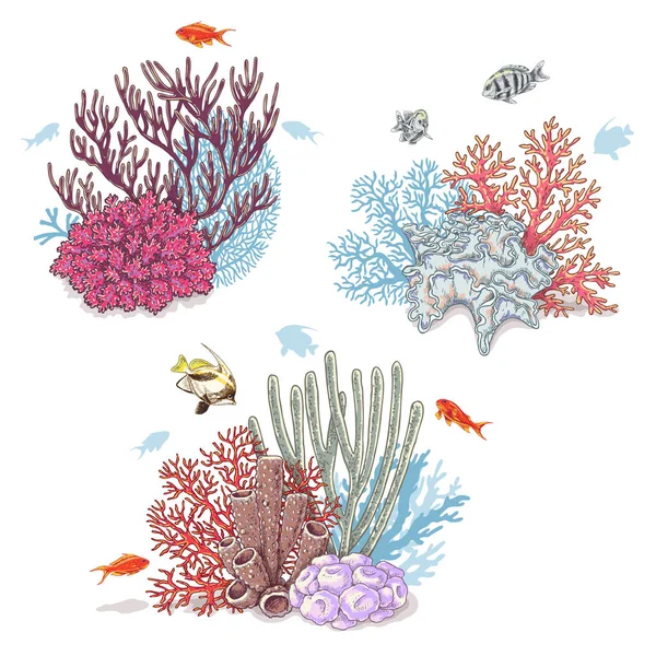 Corals and Swimming Fishes — Stock Vector