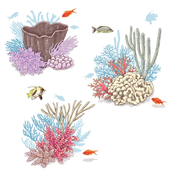 珊瑚和游泳的鱼 — 图库矢量图片