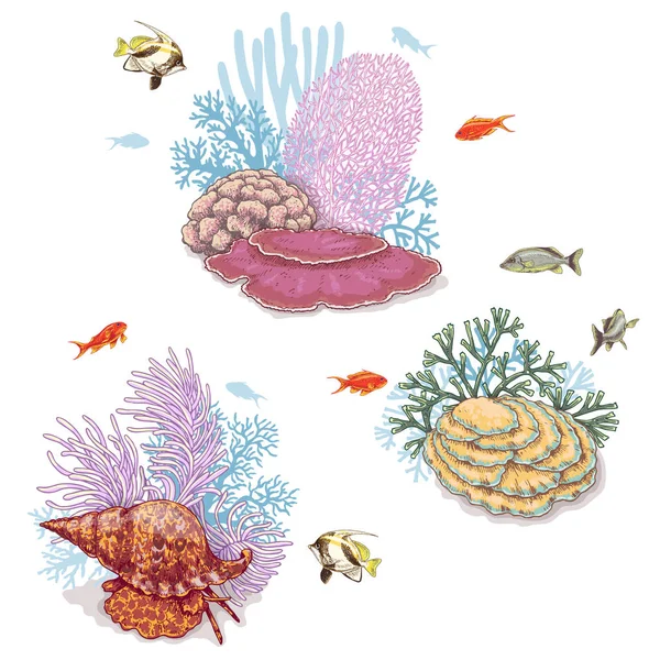 Corals and Swimming Fishes — Stock Vector