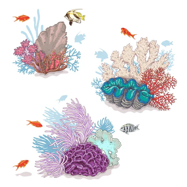 산호와 물고기 수영 — 스톡 벡터