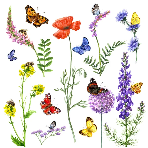 Watercolor flowers and insects — Stock Photo, Image