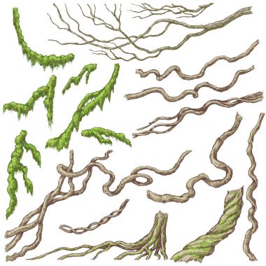 Liana Branches Sketch clipart
