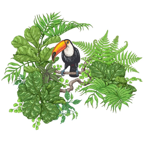 Tropické rostliny a sedící Tukan — Stockový vektor