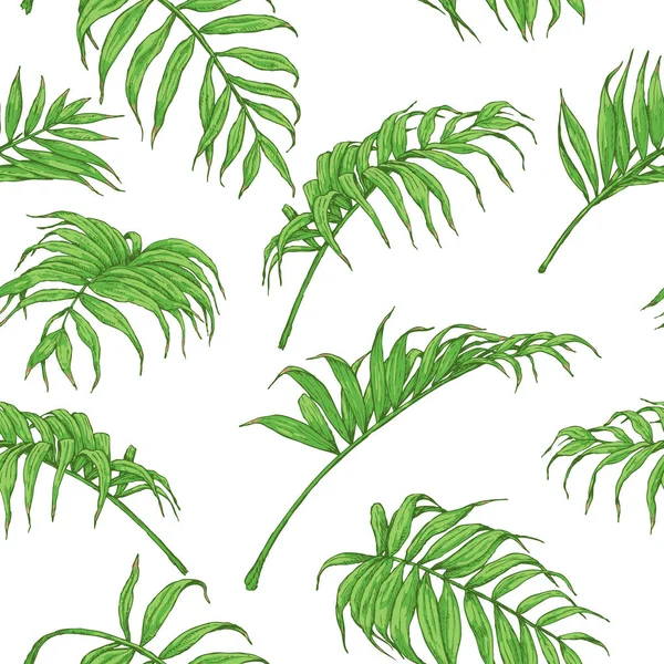 Hand dras Palm Fronds mönster — Stock vektor