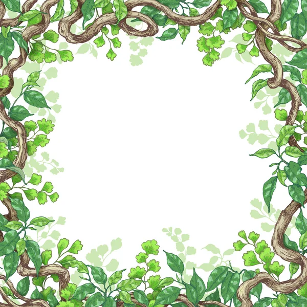 녹색 잎과 등나무 가지 프레임 — 스톡 벡터