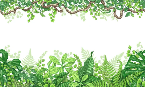 Tropische Pflanzen horizontale Grenze — Stockvektor