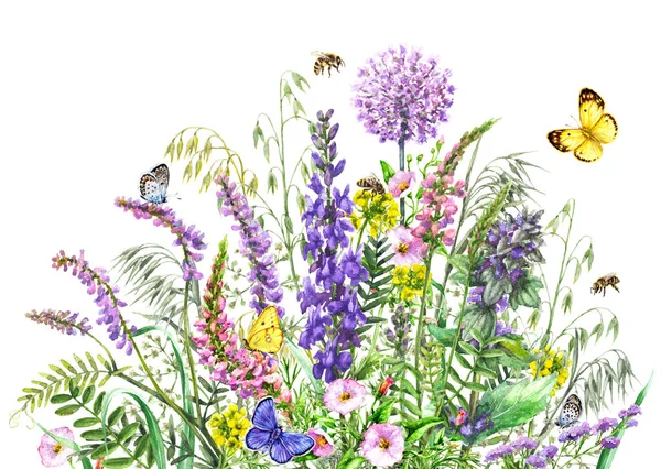 Watercolor wild flowers and insects — Stock Photo, Image