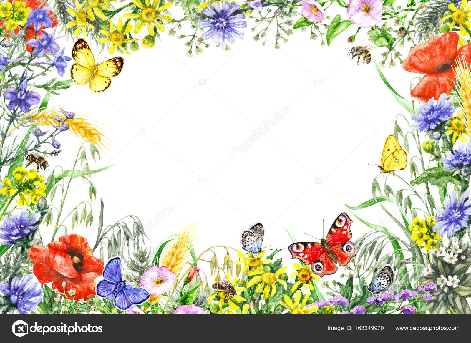Watercolor wildflowers frame — Stock Photo © Valiva 163249970