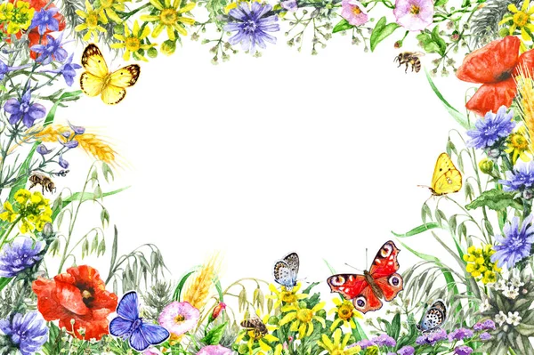 Moldura de flores silvestres aquarela — Fotografia de Stock