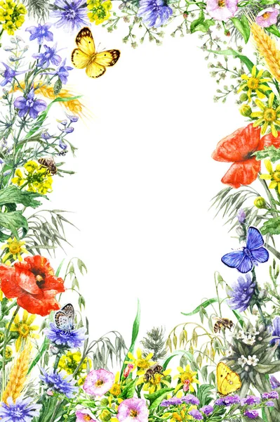Moldura de flores silvestres aquarela — Fotografia de Stock