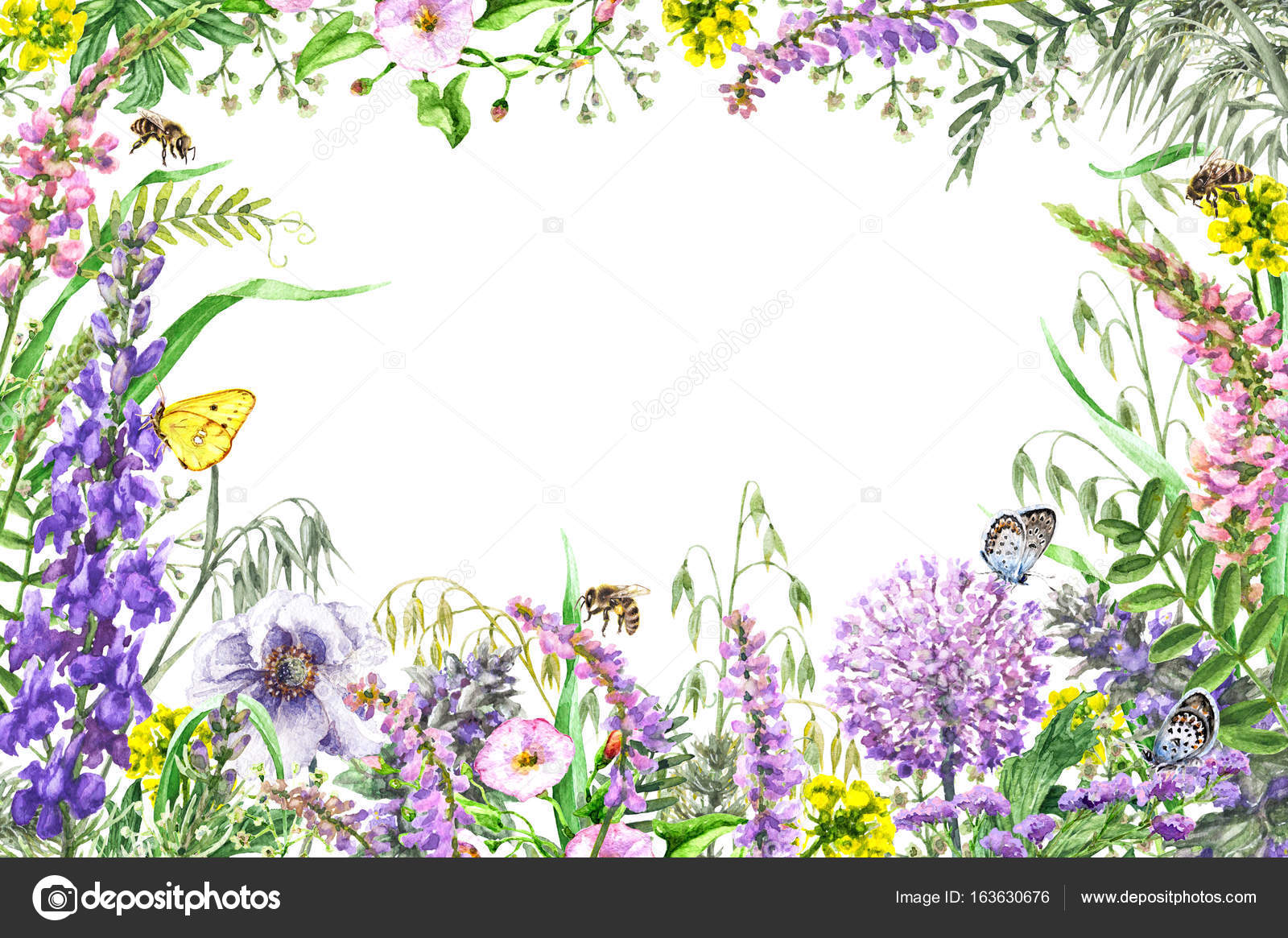 Watercolor wildflowers frame Stock Photo by ©Valiva 163630676