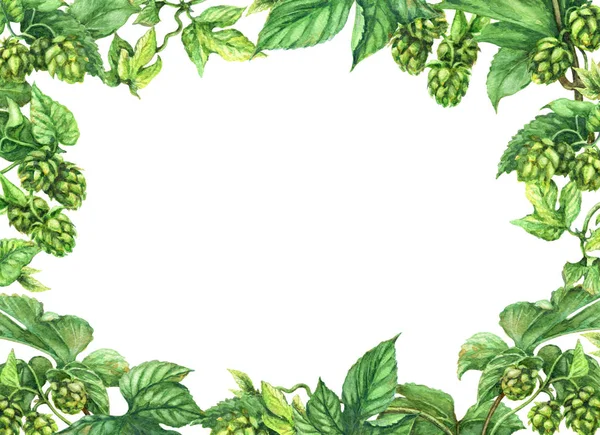 Hop Rectangle Frame — Stock Photo, Image