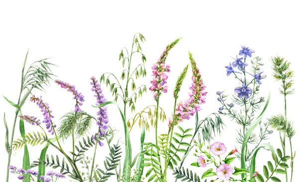 Watercolor wild flowers border — Stock Photo, Image
