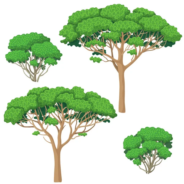 Bomen en struiken Set — Stockvector