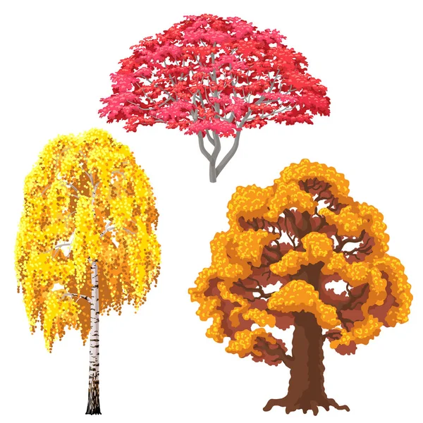 Ensemble d'arbres d'automne — Image vectorielle