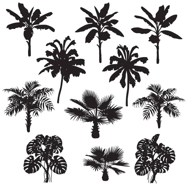热带植物剪影集 — 图库矢量图片