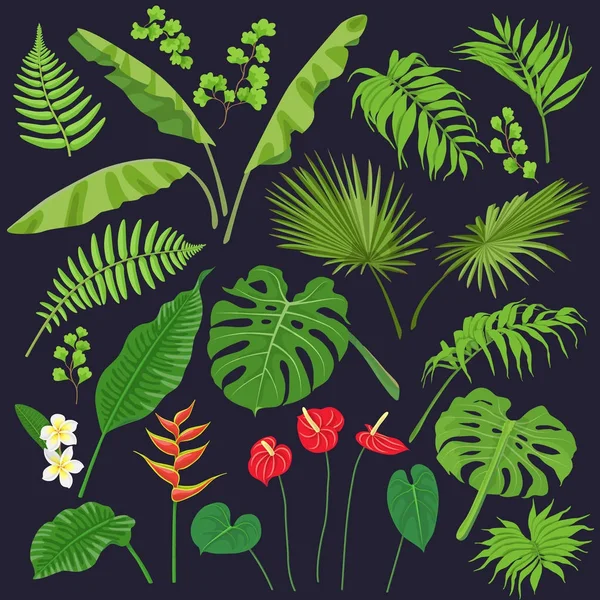 热带的叶子和花朵 — 图库矢量图片