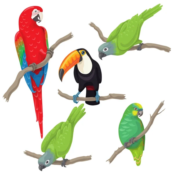 Set uccelli tropicali — Vettoriale Stock