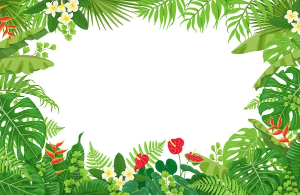 Quadro de plantas tropicais — Vetor de Stock