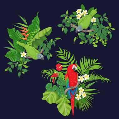 Yeşil papağan ve ağaç dalı üzerinde kırmızı Amerika papağanı