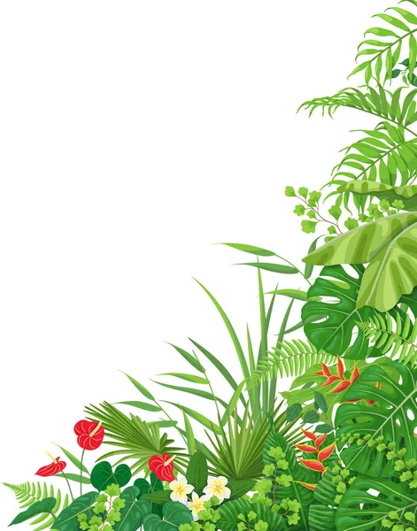 Side Corner  Border  with Tropical  Plants — Stock Vector