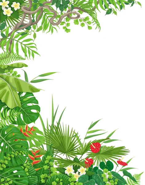 Side Border  with Tropical  Plants — Stock Vector