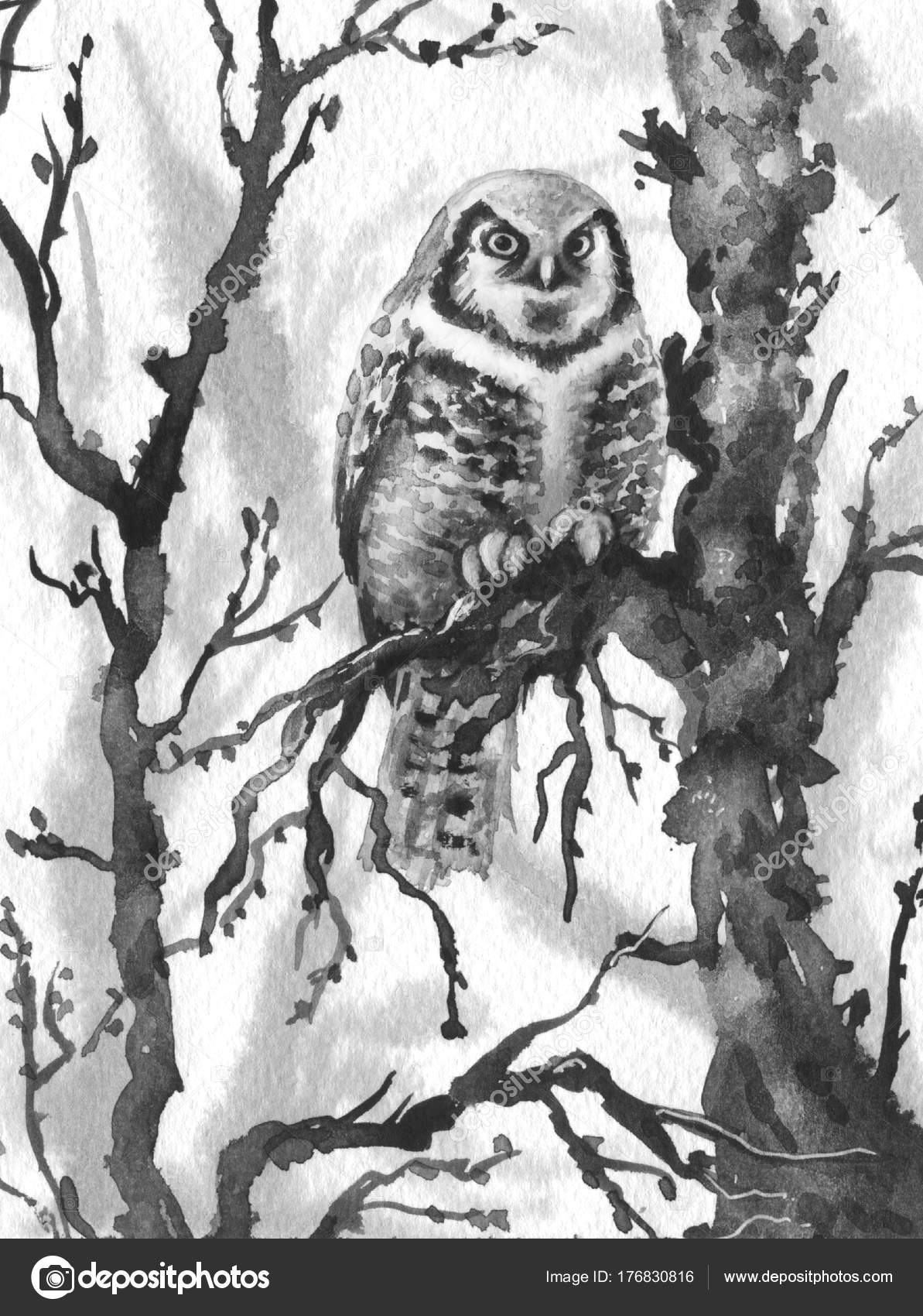 Owl On A Tree Branch Painting Owl Sitting On Tree Branch
