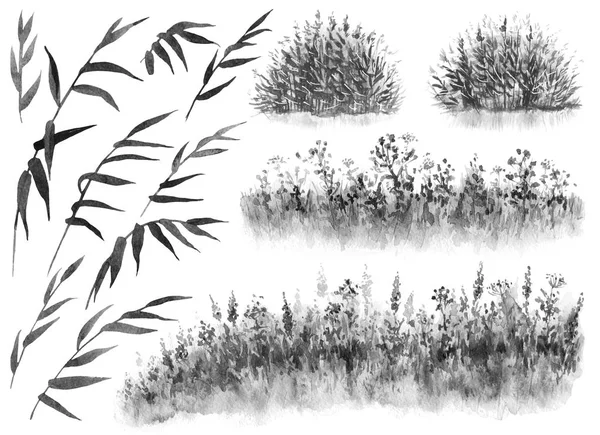 Watercolor Reeds and Grass 