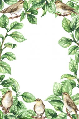 Kuşlar ve yaprakları ile Dikey Çerçeve