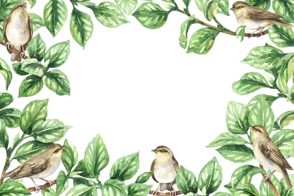 Floral  Frame  with Birds — Stock Photo, Image