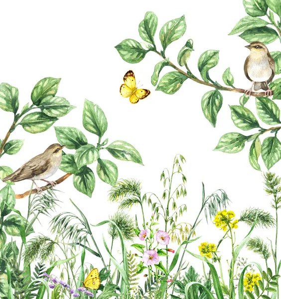 Watercolor Birds and Wildflowers — Stock Photo, Image