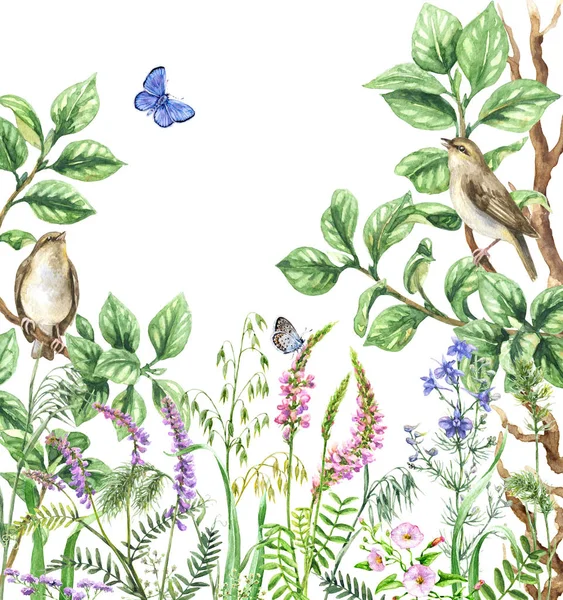 Aquarell Singvögel und Wildblumen — Stockfoto