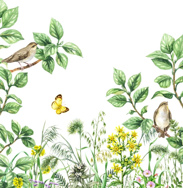 Ptaki śpiewające na gałęzie i kwiaty — Zdjęcie stockowe