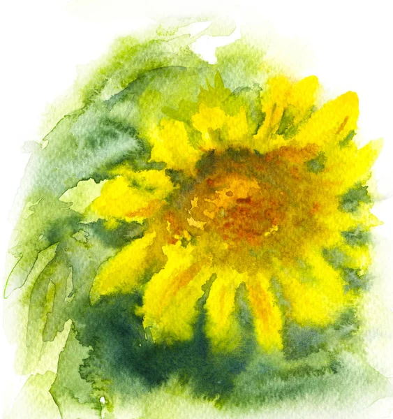 Watercolor Sunflower with Yellow Petals — Stock Photo, Image